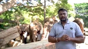 ಪ್ರಾಣಿಗಳನ್ನು ದತ್ತು ಪಡೆಯುವುದು ಹೇಗೆ?.ಈ ಬಗ್ಗೆ ನಟ ದರ್ಶನ್ ನೀಡಿರುವ ಮಾಹಿತಿ ಇಲ್ಲಿದೆ! ಪ್ರಾಣಿಗಳನ್ನು ದತ್ತು ಪಡೆಯುವುದು ಹೇಗೆ?.ಈ ಬಗ್ಗೆ ನಟ ದರ್ಶನ್ ನೀಡಿರುವ ಮಾಹಿತಿ ಇಲ್ಲಿದೆ!