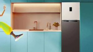 Samsung Refrigerator: ಸ್ಯಾಮ್‌ಸಂಗ್ ಬೆಸ್ಪೋಕ್ ಡಬಲ್ ಡೋರ್ ರೆಫ್ರಿಜರೇಟರ್‌ ಲಾಂಚ್‌; ಅಬ್ಬಬ್ಬಾ... ಭಾರೀ ಫೀಚರ್ಸ್‌! 