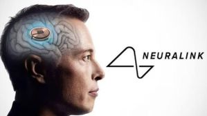 Neuralink chip: ರೋಗಿಯ ಮೆದುಳಿನಲ್ಲಿ ನ್ಯೂರಾಲಿಂಕ್ ಚಿಪ್‌ ಅಳವಡಿಕೆ ಯಶಸ್ವಿ! ಇದು ಹೇಗೆ ಕೆಲಸ ಮಾಡುತ್ತೆ?  
