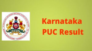 Second PUC Result: ದ್ವಿತೀಯ ಪಿಯು ಫಲಿತಾಂಶವನ್ನು ಆನ್‌ಲೈನ್‌ನಲ್ಲಿ ನೋಡುವುದು ಹೇಗೆ? ಇಲ್ಲಿದೆ ಸರಳ ಹಂತ
