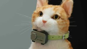 MWC 2025: ಹೊಸದಾಗಿ PetPhone ಪರಿಚಯಿಸಿದ ಮೊಬೈಲ್ ಕಂಪೆನಿ!