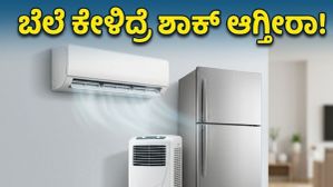 ಬಿಸಿಲ ಬೇಗೆಗೆ ತಣ್ಣನೆಯ ಶಾಕ್: ಫ್ಲಿಪ್‌ಕಾರ್ಟ್ ಸೇಲ್‌ನಲ್ಲಿ ಎಸಿ, ಫ್ರಿಜ್ ಬೆಲೆ ಕೇಳಿದ್ರೆ ಶಾಕ್ ಆಗ್ತೀರಾ!