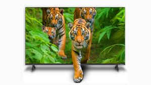 ரூ.20,000 விலைக்குள் 43 இன்ச் Smart TV வாங்கலாமா? மொத்தம் 4 பெஸ்ட் மாடல் இருக்கு.. உடனே ஆர்டர் போடுங்க.. ரூ.20,000 விலைக்குள் 43 இன்ச் Smart TV வாங்கலாமா? மொத்தம் 4 பெஸ்ட் மாடல் இருக்கு.. உடனே ஆர்டர் போடுங்க..