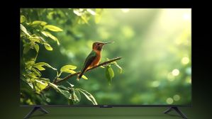 ஆபர் விலையில் Xiaomi 50 இன்ச் 4கே டிவி.. டால்பி ஆடியோ.. டால்பி விஷன்.. கூகுள் டிவி OS.. எந்த மாடல்? ஆபர் விலையில் Xiaomi 50 இன்ச் 4கே டிவி.. டால்பி ஆடியோ.. டால்பி விஷன்.. கூகுள் டிவி OS.. எந்த மாடல்?