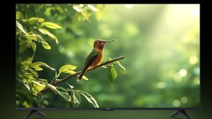 Xiaomi 55 இன்ச் டிவியை குறைந்த விலையில் வாங்க சரியான நேரம்.. டால்பி ஆடியோ.. கூகுள் டிவி ஓஎஸ்.. எந்த மாடல்?