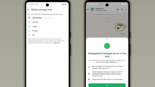 You Can Soon Set WhatsApp Messages to Disappear After Being Read: Report