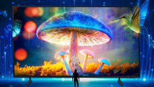 பழைய டிவி குட்பை சொல்லுங்க.. Samsung 55 இன்ச் டிவிக்கு நம்ப முடியாத ஆஃபர்.. 4K அப்ஸ்கேலிங்.. எந்த மாடல்?