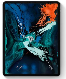 Apple iPad Pro 12.9 (2018) Wi-Fi 512GB