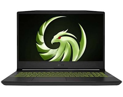 MSI Alpha 15 (B5EEK-029IN)