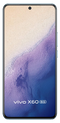 Vivo X60