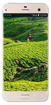 लाइफ अर्थ 2