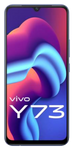विवो Y73