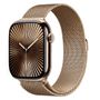 Apple Watch Series 10 (Titanium, GPS + Cellular) 42mm