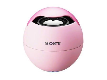 Sony Wireless Speaker System SRS –BTV5 Sony Wireless Speaker System SRS –BTV5