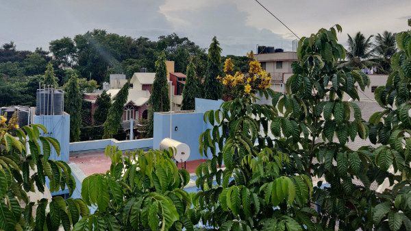 16MP Ultra-Wide Lens Is Great For Landscape Photos 16MP Ultra-Wide Lens Is Great For Landscape Photos