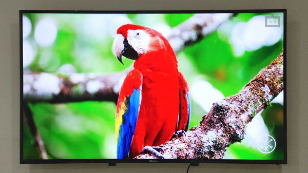 Display- 55-inch Ultra HD 4K (3840 x 2160) Panel Display- 55-inch Ultra HD 4K (3840 x 2160) Panel