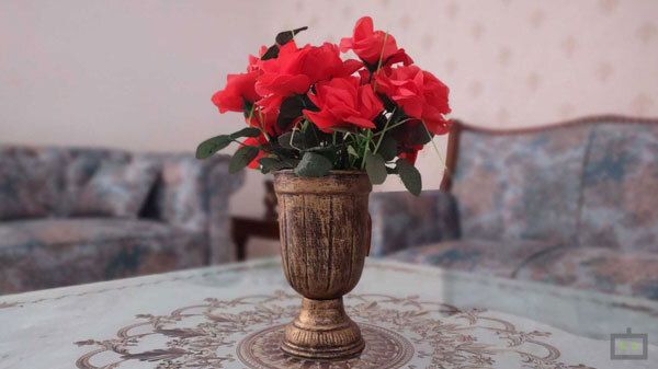 Moto G 5G: Camera Performance Moto G 5G: Camera Performance