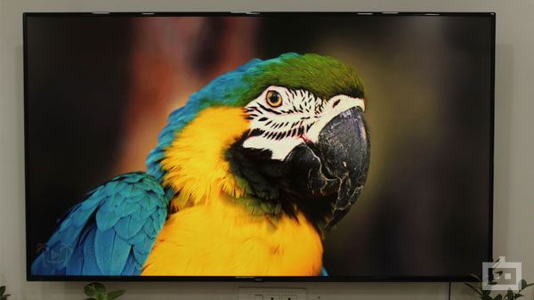 Redmi X65 TV Picture Quality Redmi X65 TV Picture Quality