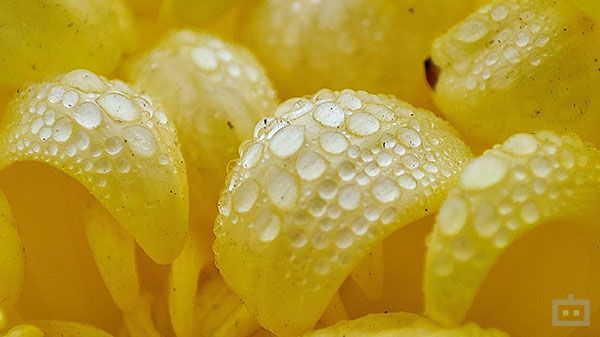 Crisp Macros Crisp Macros