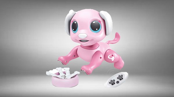BIRANCO. Updated 2019 Smart Puppy - Remote Control BIRANCO. Updated 2019 Smart Puppy - Remote Control
