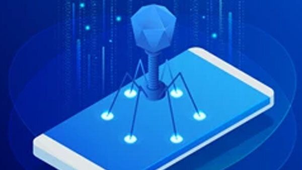 How Was The Botnet Dismantled? How Was The Botnet Dismantled?