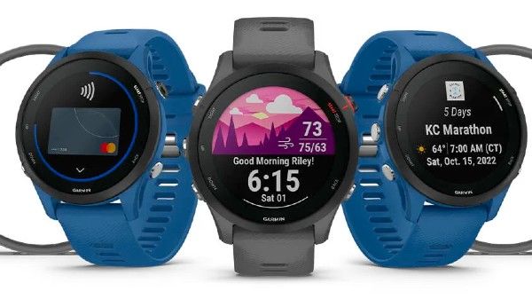 Garmin Forerunner 255 and 255S Garmin Forerunner 255 and 255S