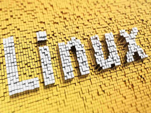 Linux operating systems vulnerable to cyber attacks: Report Linux operating systems vulnerable to cyber attacks: Report