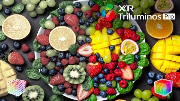 Sony Bravia XR X90K Launched With 4K Resolution, Dolby Atmos Sony Bravia XR X90K Launched With 4K Resolution, Dolby Atmos