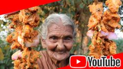 ઇન્ડિયા ના સૌથી વૃદ્ધ યુટ્યૂબર અને આપણા ચહિતા શેફ ગ્રેની 107 વર્ષ ના મસ્તનામ્મા નું દુઃખદ અવસાન 