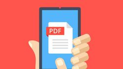 PDF ફાઈલ્સથી ફેલાય છે માલવેર, આ રીતે રહો સેફ