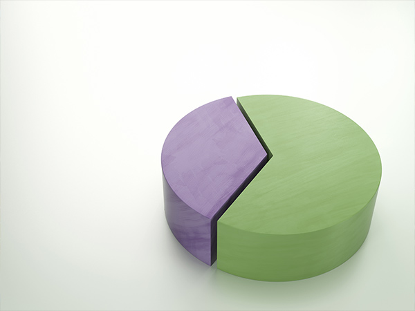 ડિસ્કમાં ભાગ