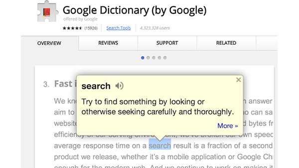 Google Dictionary