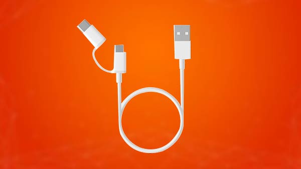 એમઆઈ 2 ઈન 1 યુએસબી કેબલ (30સીએમ) 