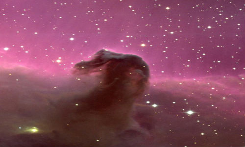 horse-head horse-head