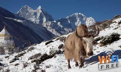 नेपाल में बनेगा फ्री वाई-फाई जोन 