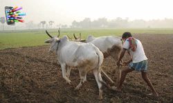 बंगाल के किसानों की समस्या सुलझाएगा यह एप्प