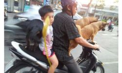 फेसबुक पर शेयर की गई कुछ फनी फोटो 