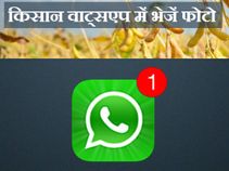 मप्र सरकार का फरमान, इल्ली की फोटो वाट्स एप पर भेजें किसान