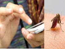 अपने स्मार्टफोन से भगाएं मच्छर!