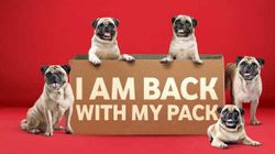 क्यूट Pug की वजह से मुश्किल में आया वोडाफोन