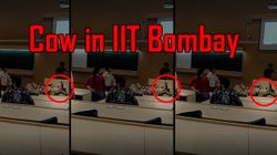 IIT Bombay की क्लासरूम में इंजीनियरिंग पढ़ाने पहुंची गाय, यहां देखिए वीडियो