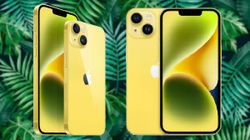 भारत में पेश हुआ नये पीले कलर में iPhone 14 और iPhone 14 Plus,जाने कीमत