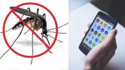 अब घर बैठे Feverphone App से चेक करें Dengue बुखार, यहां जानें सभी स्टेप्स