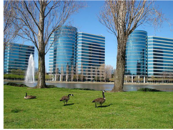 Oracle buildings Oracle buildings