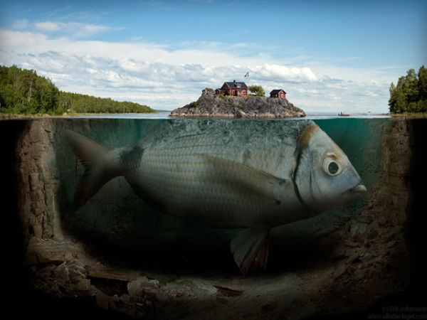 Photo Manipulation Photo Manipulation