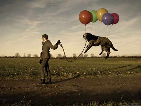 Photo Manipulation Photo Manipulation