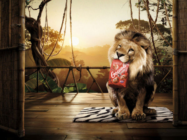 Photo Manipulation Photo Manipulation