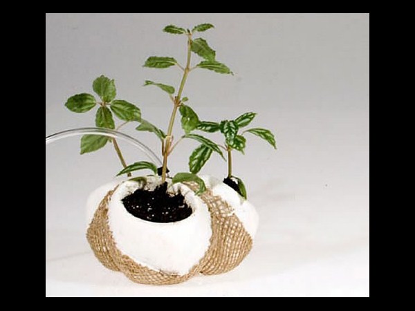 हाईड्रोकॉपी 