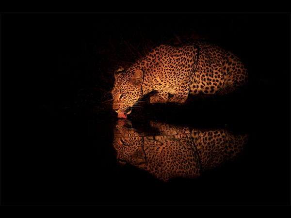 रिफ्लेक्‍शन फोटोग्राफी 