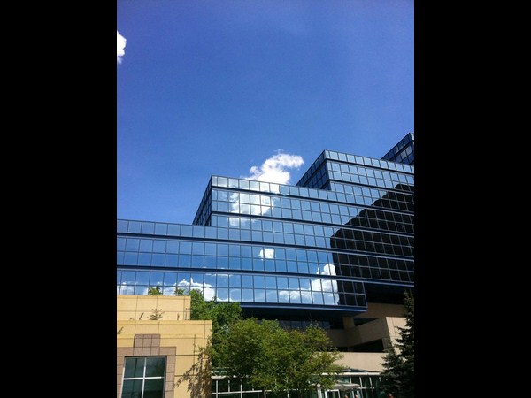 रिफ्लेक्‍शन फोटोग्राफी 